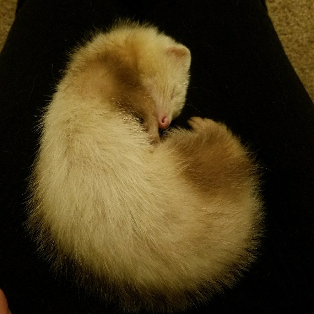 Meet your Posher, Katherine